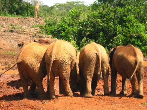 Travel Agency «Hill Barrett Travel», reviews and photos, 14479 Woodinville-Redmond Rd NE, Woodinville, WA 98072, USA