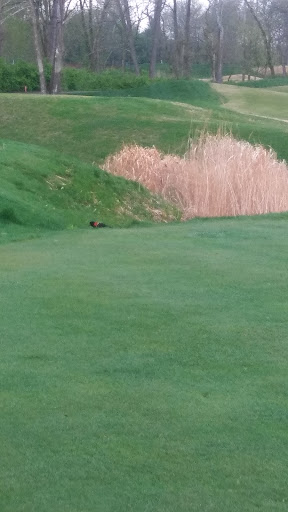 Golf Club «Old Hickory Golf Club», reviews and photos, 1 Dye Club Dr, St Charles, MO 63304, USA