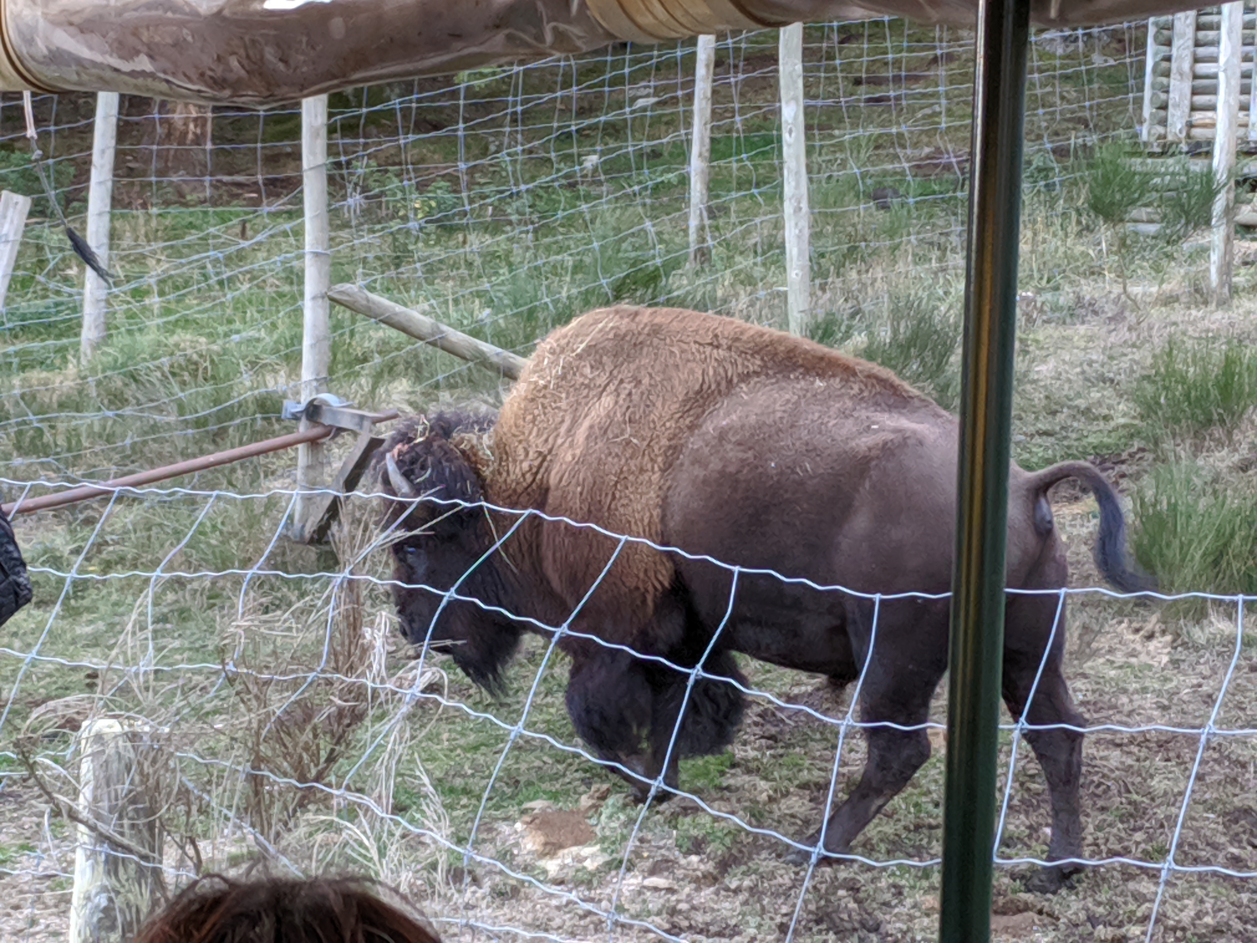 Photo n° 1 de l'avis de nicolas.a fait le 26/10/2019 à 15:33
