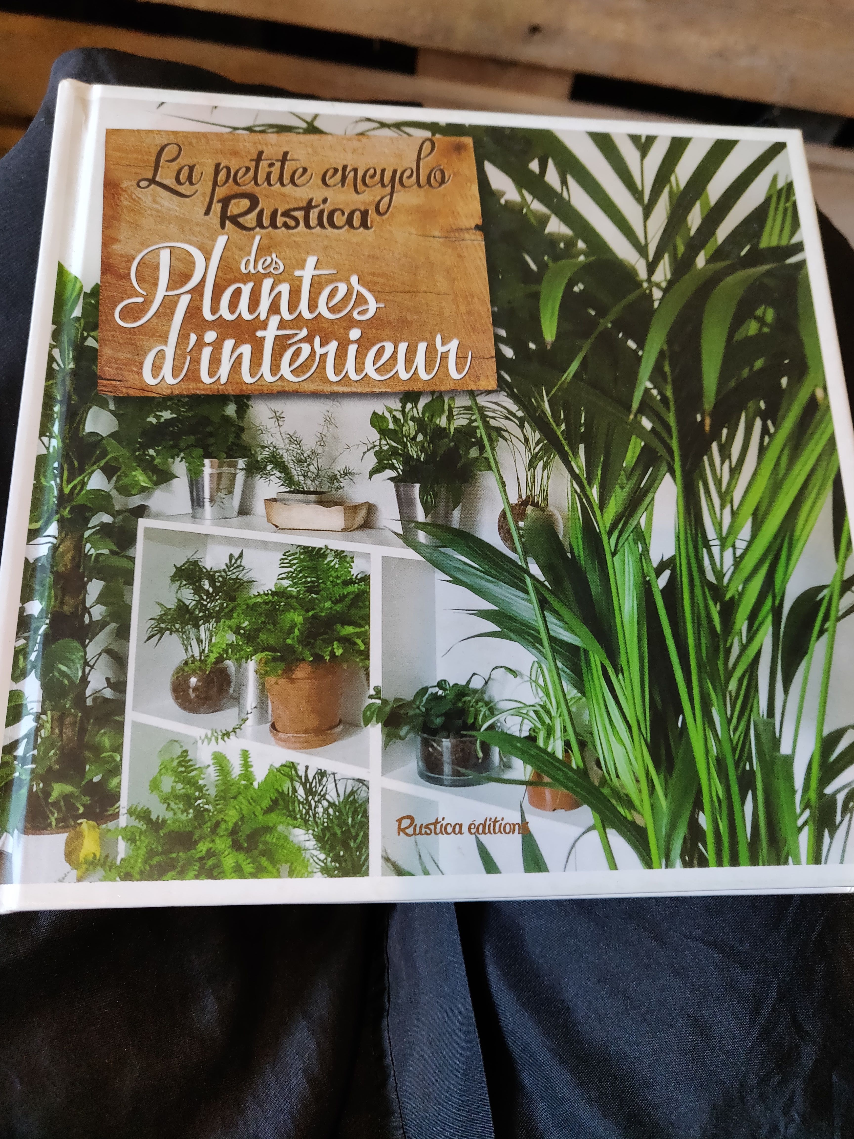 Photo n° 1 de l'avis de kahina.o fait le 26/03/2019 à 20:55