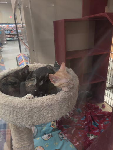 Pet Supply Store «PetSmart», reviews and photos, 3081 S 5600 W, Salt Lake City, UT 84120, USA