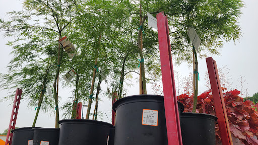 Home Improvement Store «The Home Depot», reviews and photos, 114 Federal Rd, Danbury, CT 06810, USA