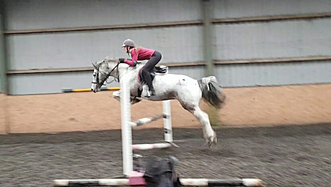 Comments and reviews of Woodend Riding Centre