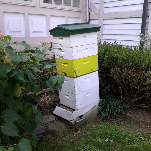 Museum «Voelker Orth Museum», reviews and photos, 14919 38th Ave, Flushing, NY 11354, USA