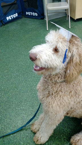 Pet Supply Store «Petco Animal Supplies», reviews and photos, 131 Topsham Fair Mall Rd #1, Topsham, ME 04086, USA