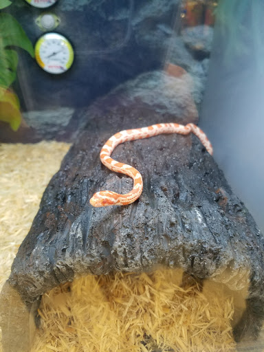 Pet Supply Store «Petco Animal Supplies», reviews and photos, 1255 Raritan Rd #140, Clark, NJ 07066, USA