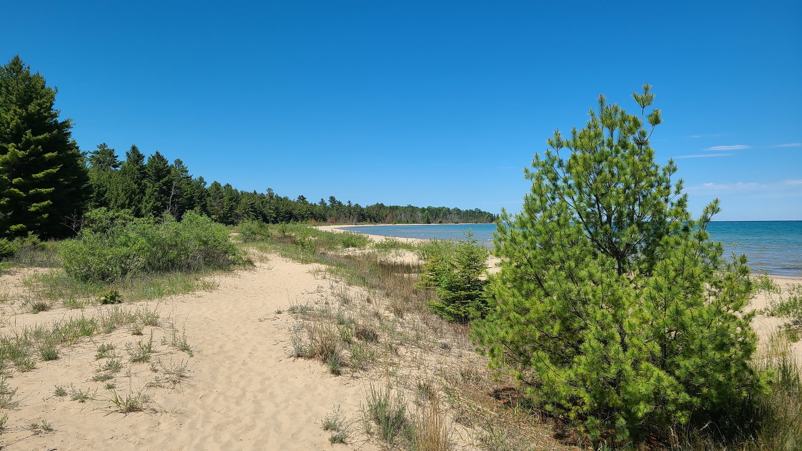 Foto de Negwegon State Park Beach con recta y larga