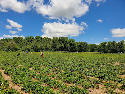 Downey's Apple Farm