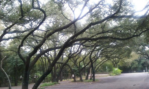 French Restaurant «Crumpets Restaurant & Bakery», reviews and photos, 3920 Harry Wurzbach Rd, San Antonio, TX 78209, USA