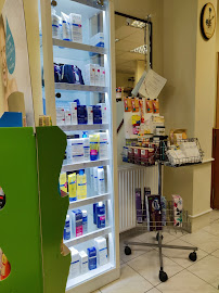 Gyógyszertár - Gyógyszertár