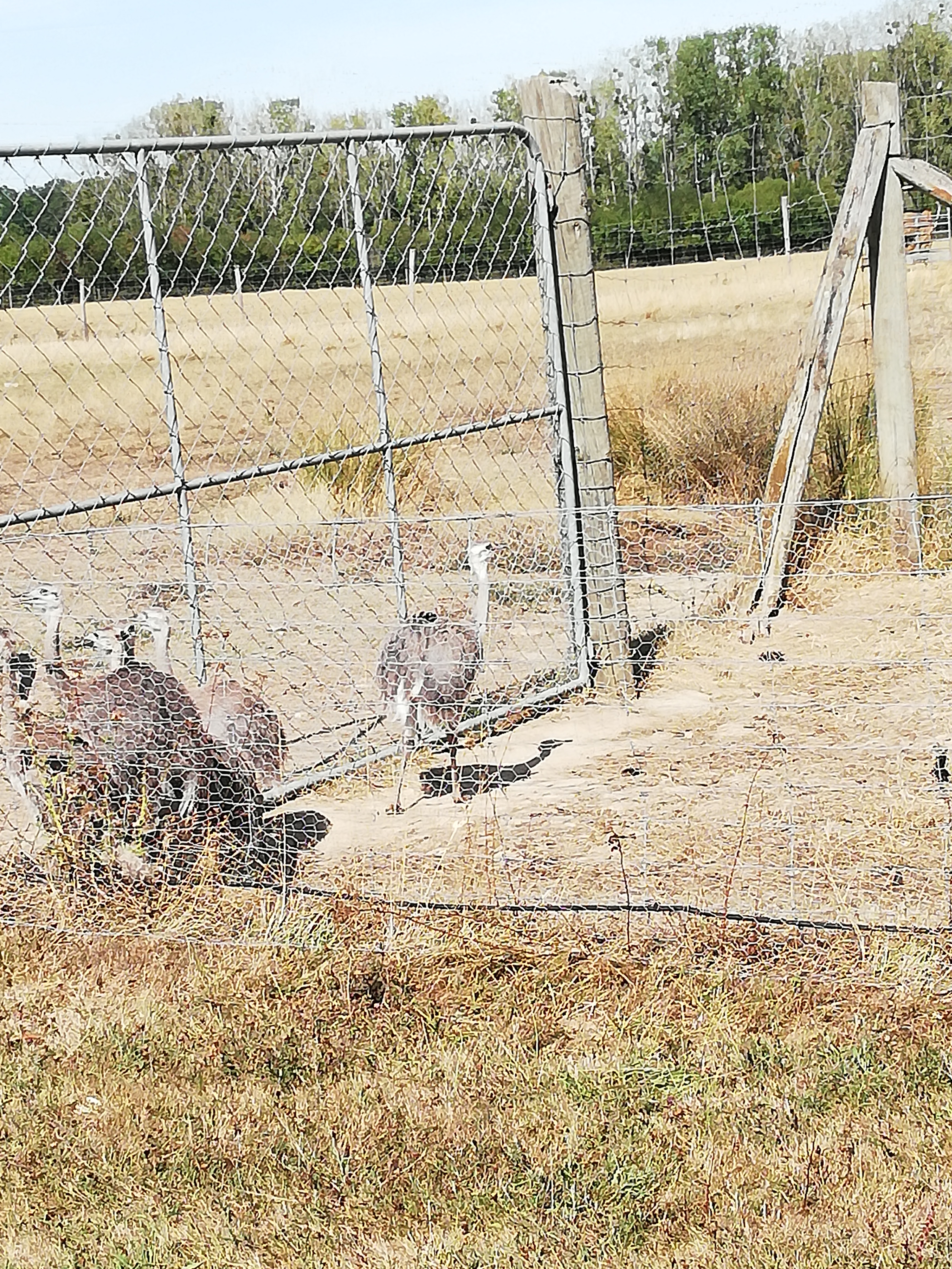 Photo n° 50 de l'avis de Severine.e fait le 23/08/2019 à 23:18