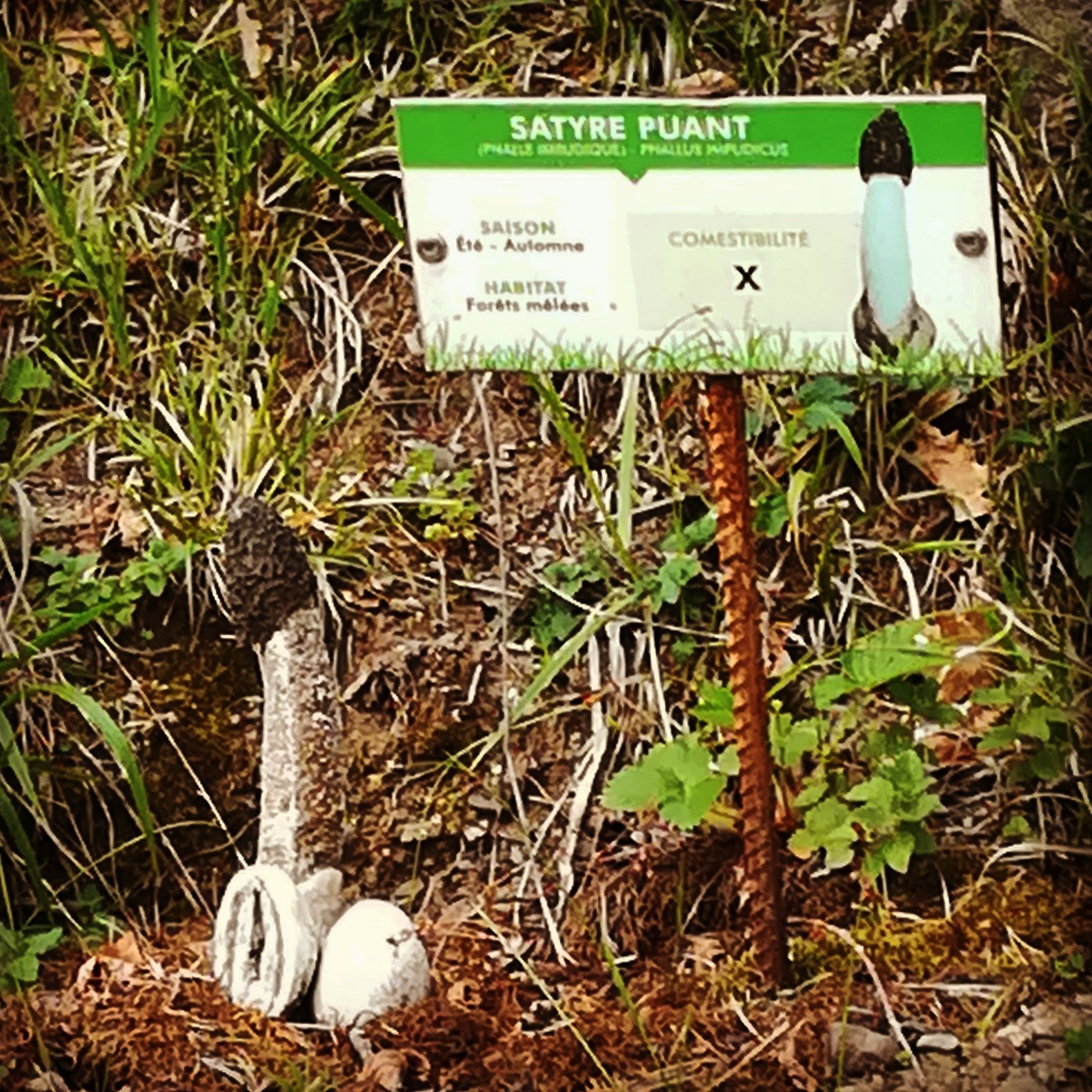 Photo n° 1 de l'avis de Sarah.L fait le 21/04/2018 à 18:44