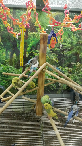 Pet Supply Store «Petco Animal Supplies», reviews and photos, 3680 Spencer Hwy, Pasadena, TX 77504, USA