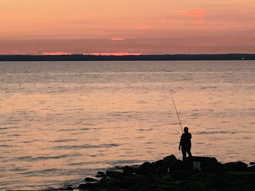 Nature Preserve «Welwyn Preserve», reviews and photos, 100 Crescent Beach Rd, Glen Cove, NY 11542, USA