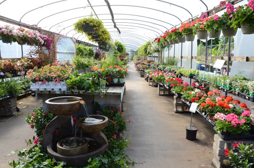 Garden Center «Schott Gardens», reviews and photos, 2209 Nashville Rd, Bowling Green, KY 42101, USA