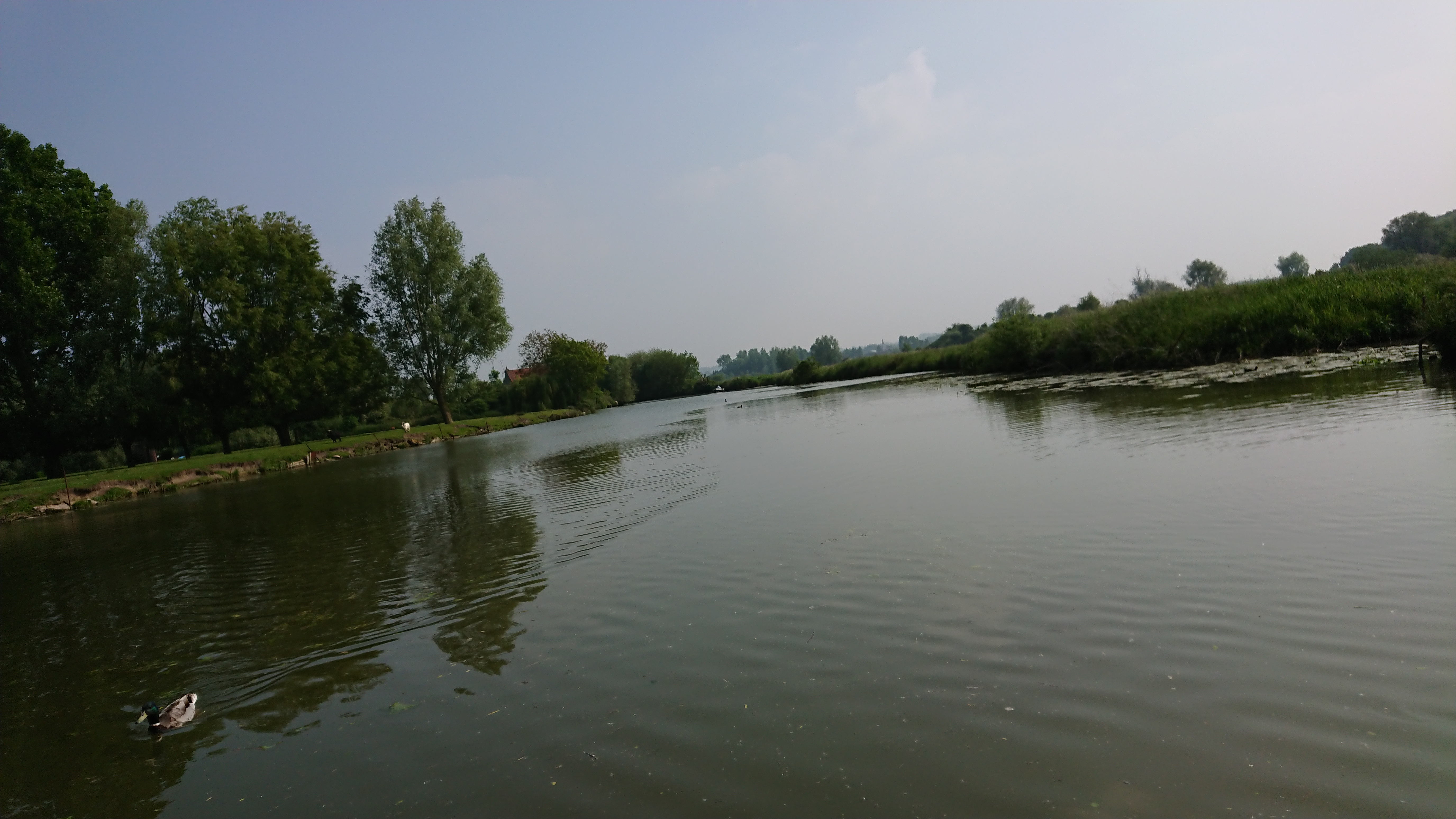 Photo n° 39 de l'avis de Perso.e fait le 20/05/2018 à 16:43