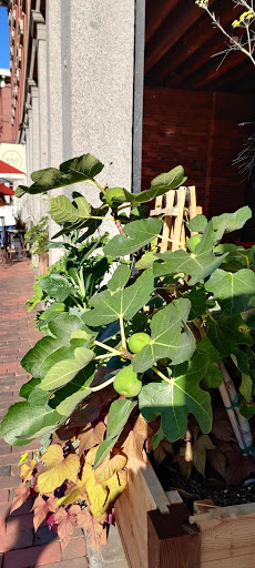 Liquor Store «Old Port Spirits and Cigars», reviews and photos, 79 Commercial St, Portland, ME 04101, USA