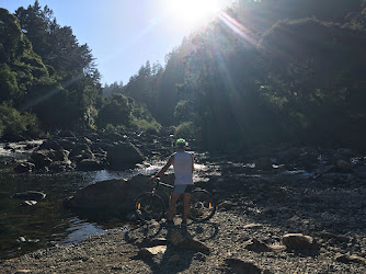 Hauraki Bike Hire