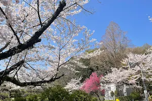 Satsukiyama Park image