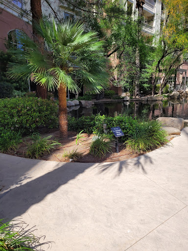 Casino «Rampart Casino», reviews and photos, 221 N Rampart Blvd, Las Vegas, NV 89145, USA