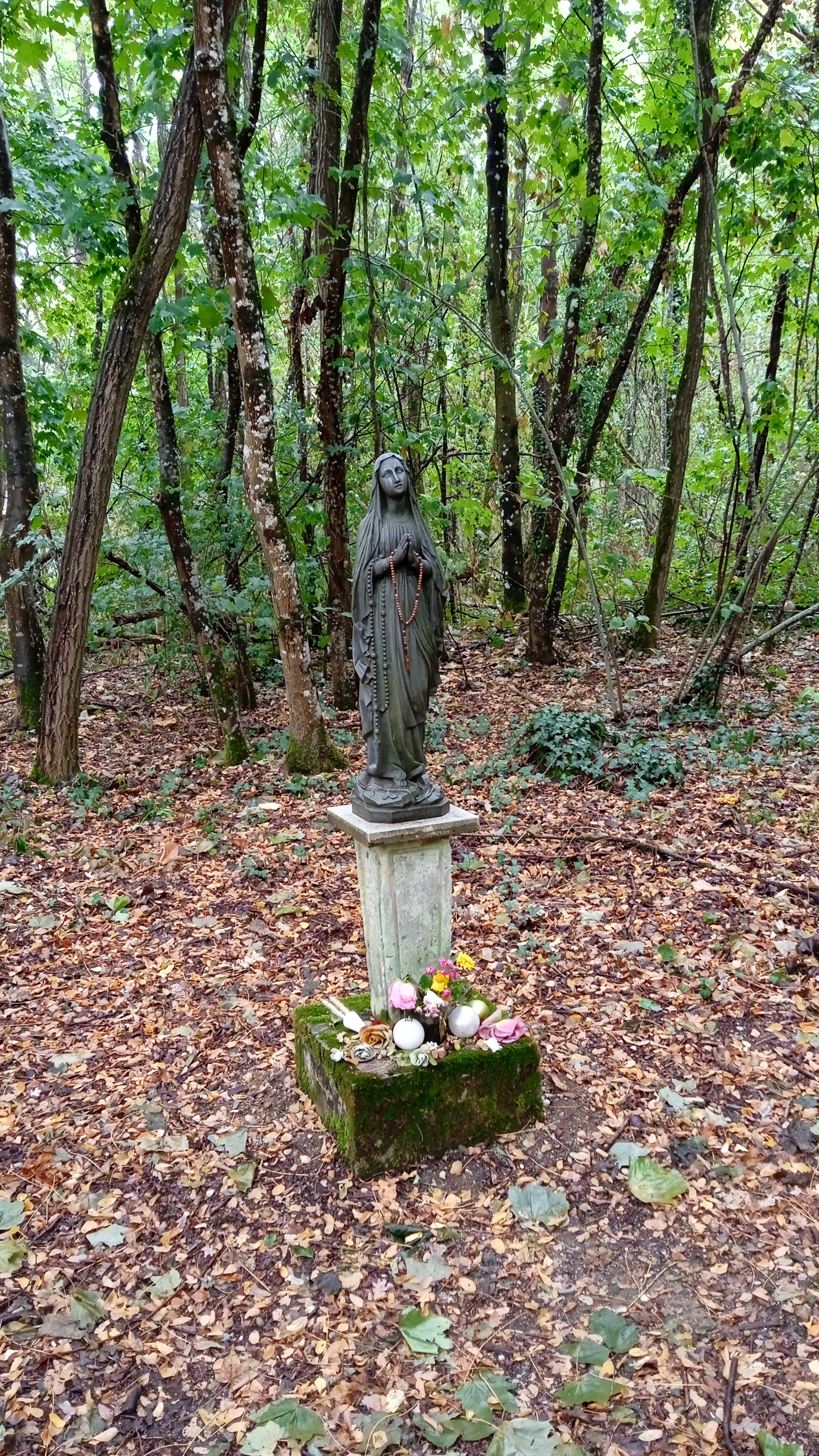 Photo n° 1 de l'avis de Pierre-Henri.e fait le 10/10/2022 à 21:24
