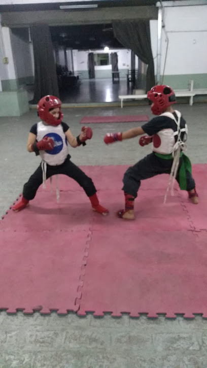 Escuela Argentina de Kung-Fu Shaolin PA-CHUAN-HU