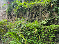 Opinii despre Centro Urku în Tarapoto - Asociación