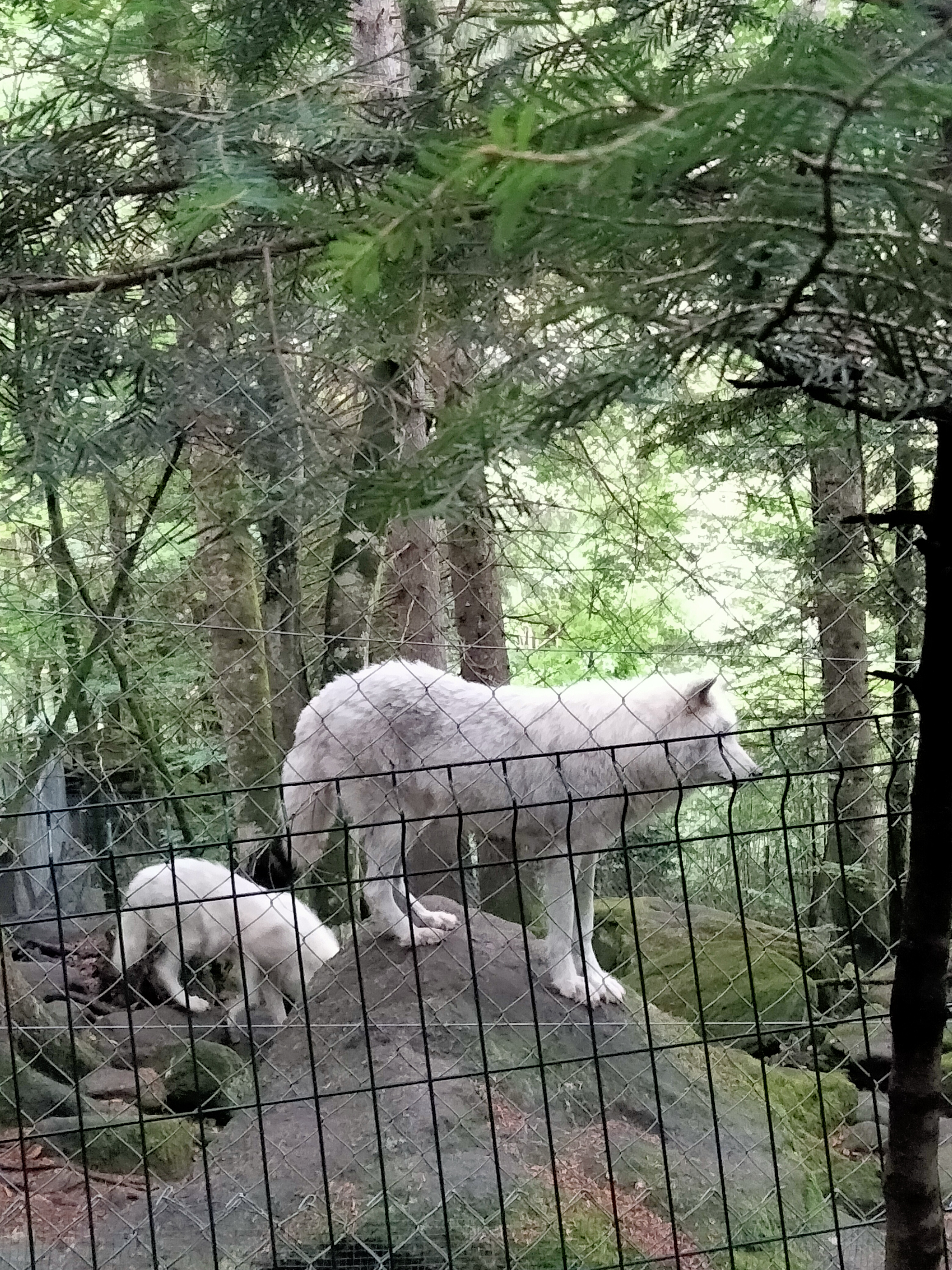 Photo n° 5 de l'avis de Chloé.a fait le 18/08/2022 à 16:02