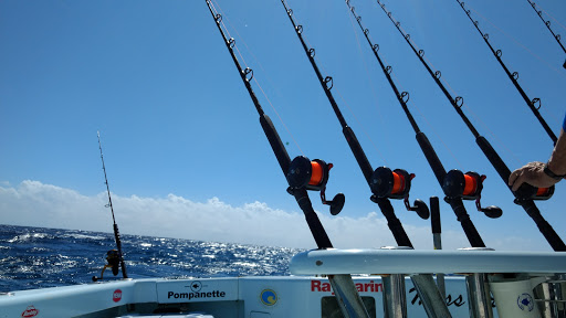 Boat Rental Service «Miami Fishing Charters, LLC», reviews and photos, 3400 Pan American Dr, Miami, FL 33133, USA