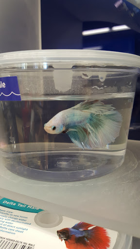 Pet Supply Store «Petco Animal Supplies», reviews and photos, 360 N Bedford Rd, Mt Kisco, NY 10549, USA