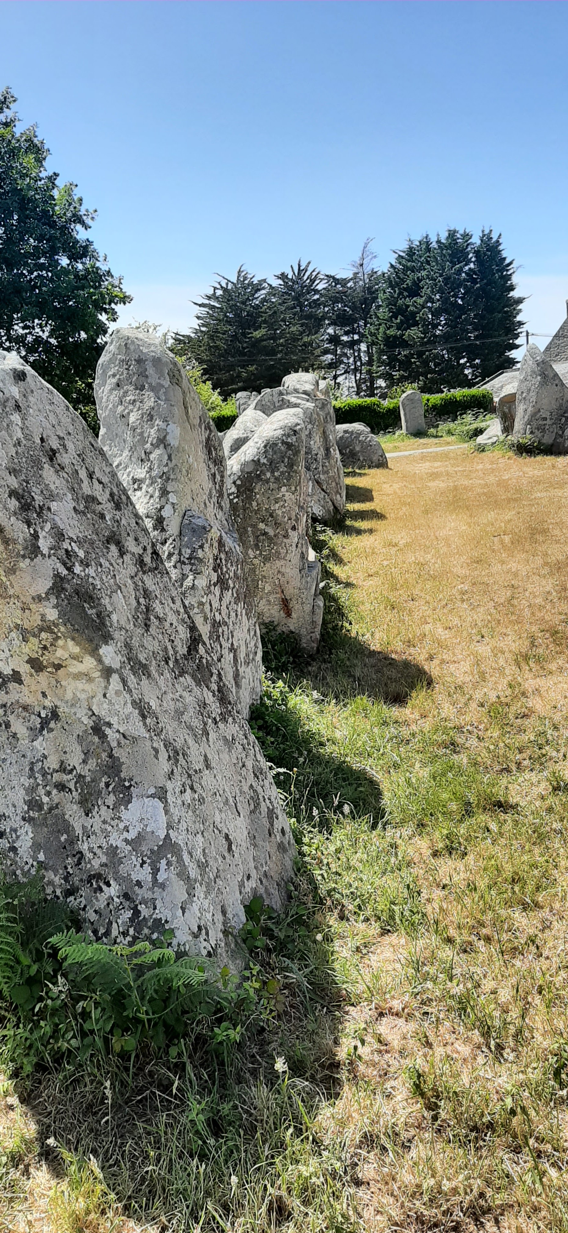Photo n° 12 de l'avis de Serge.a fait le 14/06/2022 à 16:31