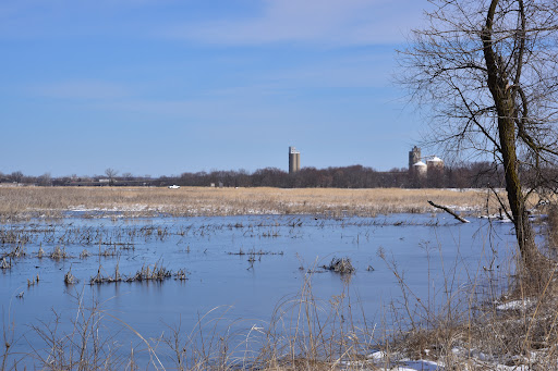 Nature Preserve «Lockport Prairie Nature Preserve», reviews and photos, Broadway St, Lockport, IL 60441, USA