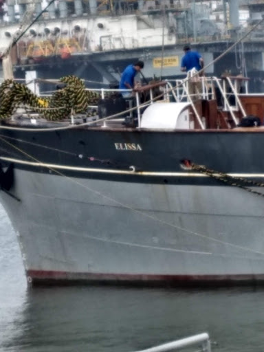 Museum «Texas Seaport Museum», reviews and photos, 2100 Harborside Dr, Galveston, TX 77550, USA