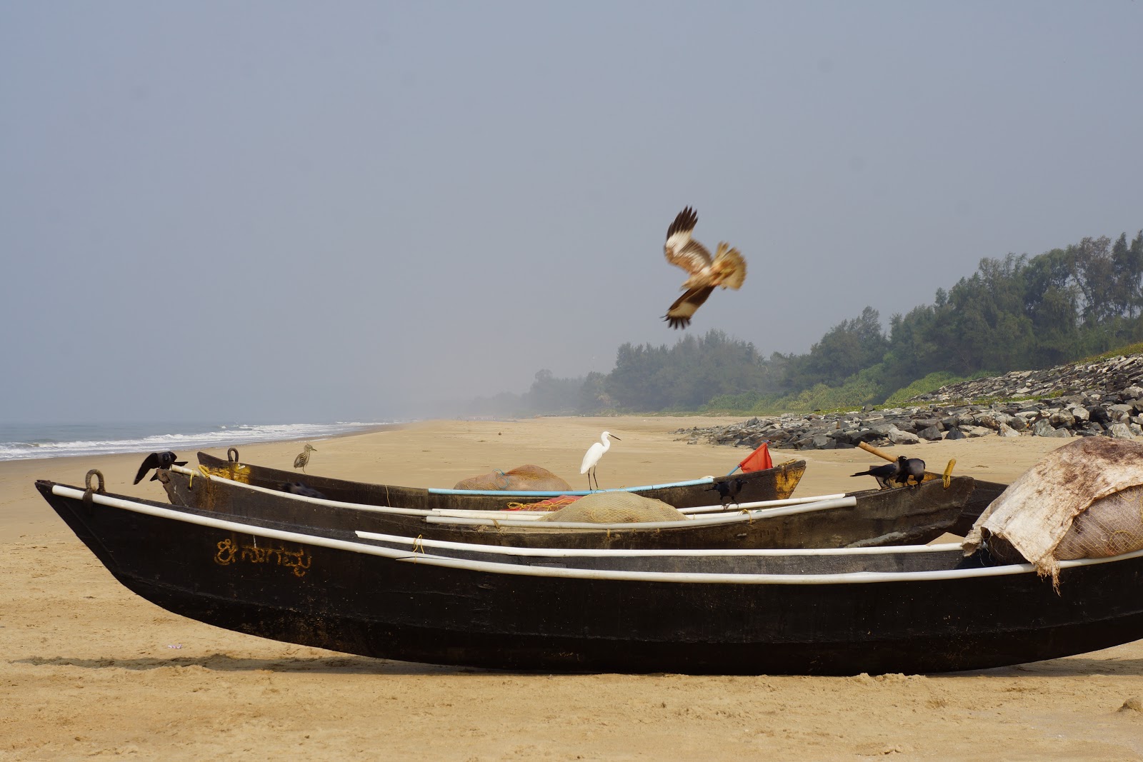 Photo de Kadle Beach avec un niveau de propreté de très propre