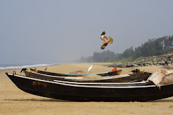 Kadle Beach'in fotoğrafı imkanlar alanı