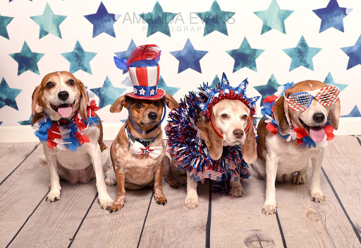 Pet Supply Store «EarthWise Pet Supply», reviews and photos, 7316 Yankee Rd, Liberty Township, OH 45044, USA