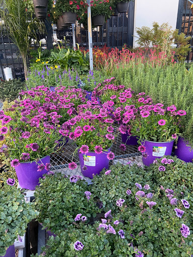 Home Improvement Store «The Home Depot», reviews and photos, 6140 Hamner Ave, Mira Loma, CA 91752, USA