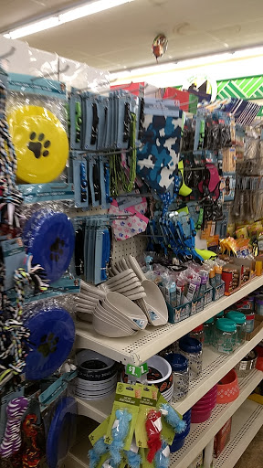 Dollar Store «Dollar Tree», reviews and photos, 31123 Harper Ave, St Clair Shores, MI 48082, USA