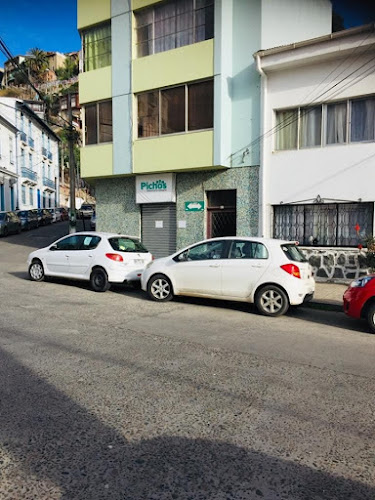 Opiniones de Clínica Veterinaria Pichos en Valparaíso - Veterinario