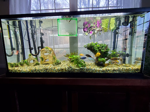 Pet Supply Store «PetSmart», reviews and photos, 19 Clifton Country Rd, Clifton Park, NY 12065, USA