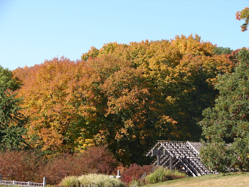 Botanical Garden «Olbrich Botanical Gardens», reviews and photos, 3330 Atwood Ave, Madison, WI 53704, USA