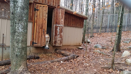 Zoo «Kentucky Down Under Adventure Zoo», reviews and photos, 3700 L and N Turnpike Rd, Horse Cave, KY 42749, USA