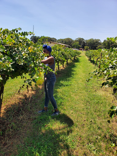 Winery «Fox Vineyards & Winery», reviews and photos, 225 State Hwy 11, Social Circle, GA 30025, USA