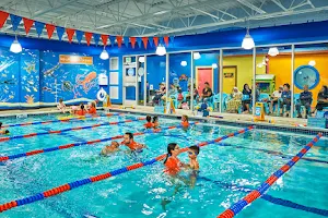 Goldfish Swim School - Media image