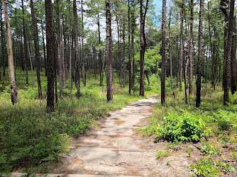 Weymouth Woods - Sandhills Nature Preserve