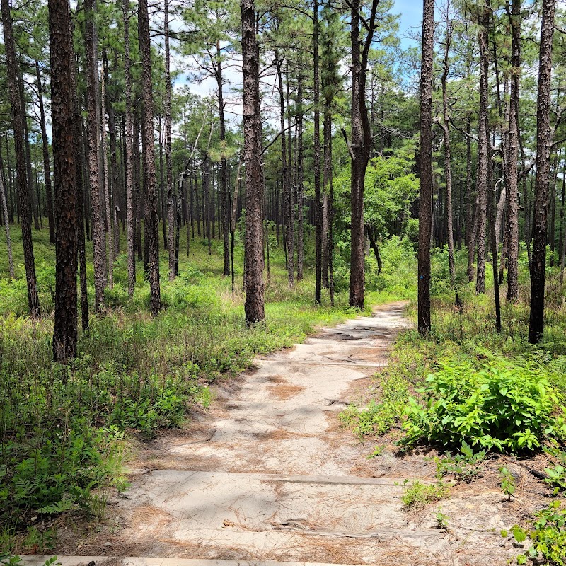 Weymouth Woods - Sandhills Nature Preserve