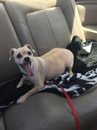 Pet Supply Store «PetSmart», reviews and photos, 1321 W Craig Rd, North Las Vegas, NV 89032, USA