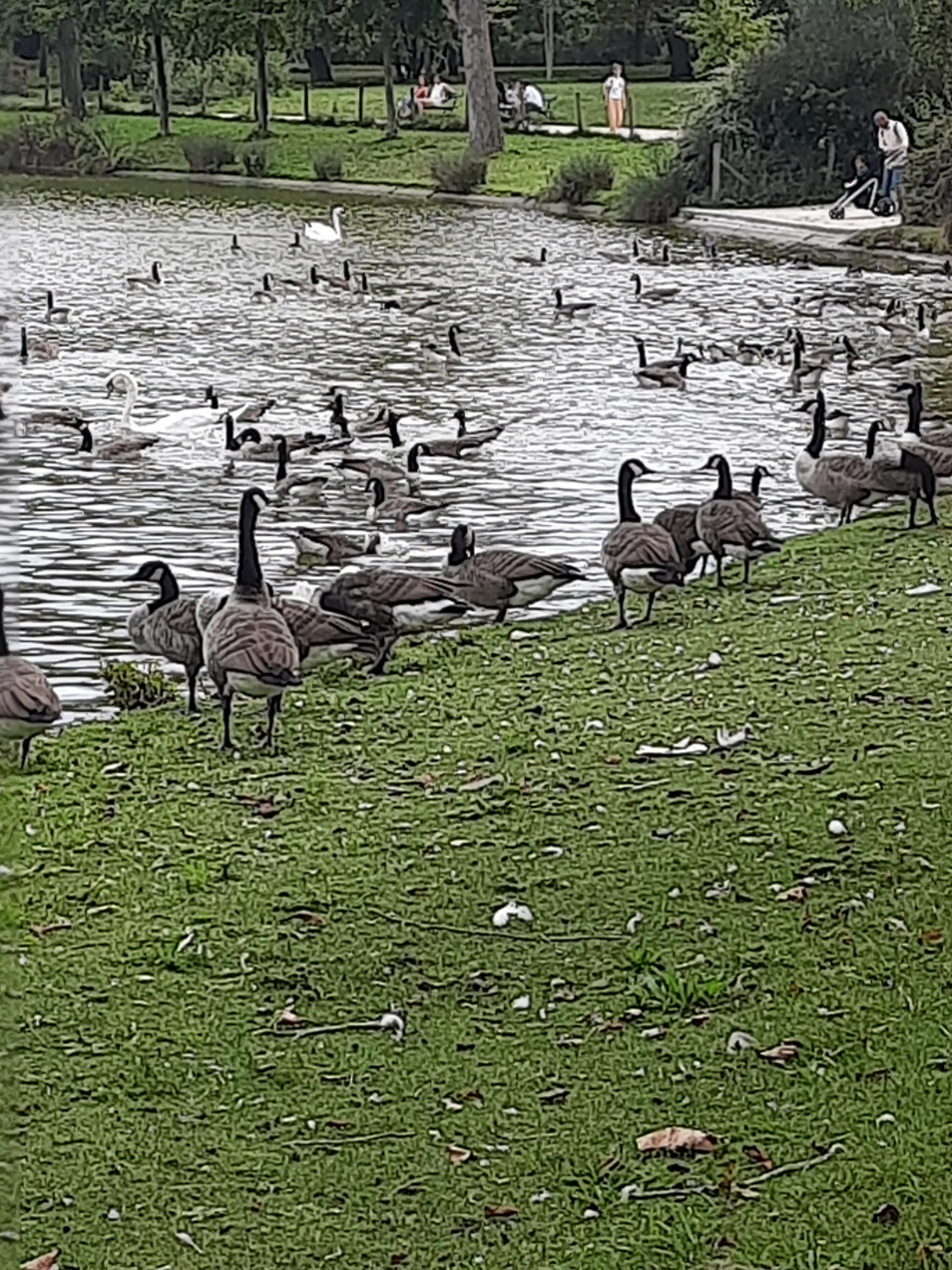 Photo n° 2 de l'avis de JLouis.l fait le 10/10/2023 à 20:39