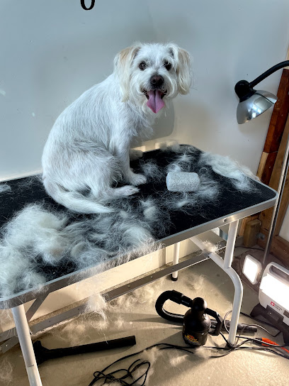 Tri-Cities Dog Grooming