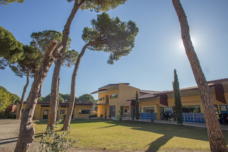 CBS, The British School of Seville - Colegio Británico de Sevilla Urb. La Juliana, parcelas 40 A y B, 41110 Bollullos de la Mitación, Sevilla, España